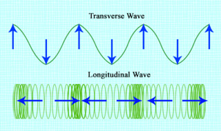 transverse vibration of strings theory